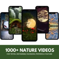 1000+ Nature Reels Bundle – Ready-to-Post Scenic Videos for Reels, TikTok & Shorts - Image 2