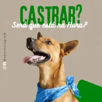 🐾 “Your Pet Patients Deserve a Clinic That Shows It Cares — Even Online.” 140+ Canva Templates Built for Veterinarians Who Want to Stand Out & Book More Appointments - Image 5