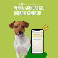 🐾 “Your Pet Patients Deserve a Clinic That Shows It Cares — Even Online.” 140+ Canva Templates Built for Veterinarians Who Want to Stand Out & Book More Appointments - Image 6