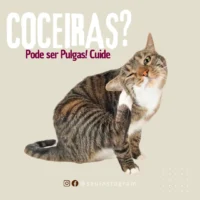 🐾 “Your Pet Patients Deserve a Clinic That Shows It Cares — Even Online.” 140+ Canva Templates Built for Veterinarians Who Want to Stand Out & Book More Appointments - Image 10