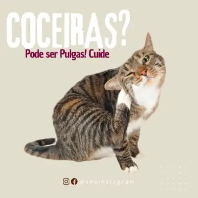 🐾 “Your Pet Patients Deserve a Clinic That Shows It Cares — Even Online.” 140+ Canva Templates Built for Veterinarians Who Want to Stand Out & Book More Appointments - Image 10