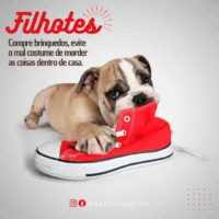 🐾 “Your Pet Patients Deserve a Clinic That Shows It Cares — Even Online.” 140+ Canva Templates Built for Veterinarians Who Want to Stand Out & Book More Appointments - Image 8