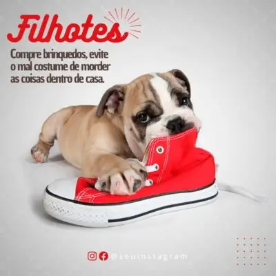🐾 “Your Pet Patients Deserve a Clinic That Shows It Cares — Even Online.” 140+ Canva Templates Built for Veterinarians Who Want to Stand Out & Book More Appointments - Image 8